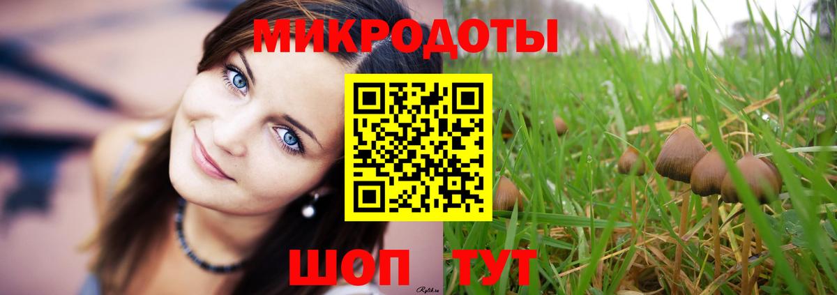 Псилоцибиновые грибы Cubensis  Псилоцибиновые грибы Psilocybe  Бугульма  Вход с VPN 